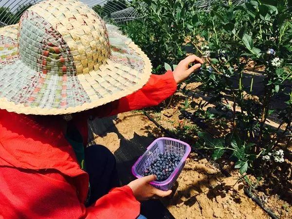 娱乐生活 第6页